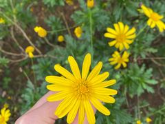 -白鹭湾湿地公园