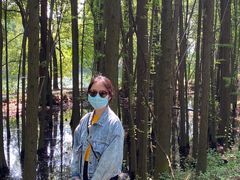 -东湖落雁景区