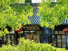 -大槐树寻根祭祖园