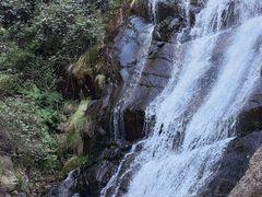 -大奇山国家森林公园