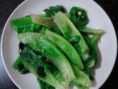 -田螺阿姨自营月嫂·育儿嫂(高新店)
