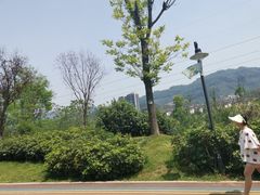 -成都蒲江花样年福朋喜来登度假酒店·宜客乐西餐厅