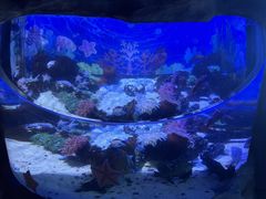 -南昌融创海世界