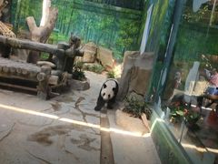 -灵玲国际马戏城