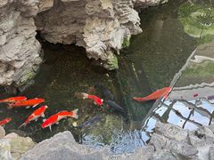 -广州白天鹅宾馆