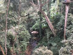 -清迈丛林飞跃 JungleFlight