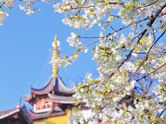 -鸡鸣寺