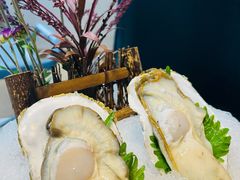 深海生蚝-喜聚薈·花膠雞海鮮火鍋(越秀店)