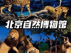 -国家自然博物馆