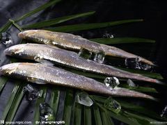 -新花城蟹粉馆(乌鲁木齐店)