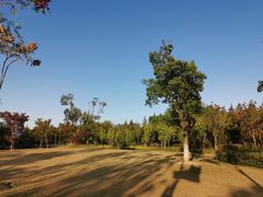 -上海长兴岛郊野公园