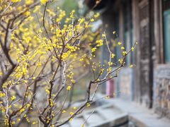 -颐和园