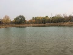 -永定河休闲森林公园