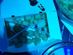 -达美乐比萨(回龙观店)