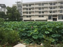 -南师大仙林校区东区食堂