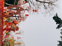 -映月湖公园