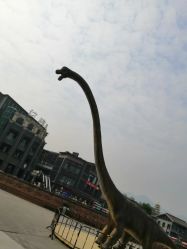 -恐龙探索乐园(磁器口店)