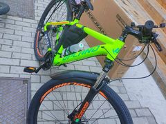 -道路口单车爱瓦士dahon大行