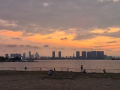 -瑶湖郊野森林公园