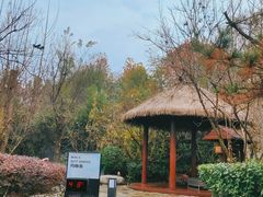 -思念果岭悦温泉