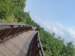 -羊亭河湿地公园