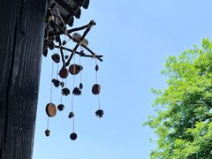 -田园东方蜜桃村的田野营地