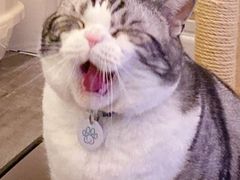 -溏心风鲍港式打边炉(余英坊店)