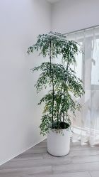 -HEYAN荷妍专业脱毛连锁机构