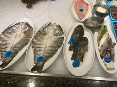 -海派美食·家宴海鲜青岛菜·石锅鲽鱼头(东方城店)