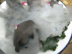 -白乐天毛肚火锅馆(南滨路店)
