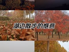 -武清南湖绿博园