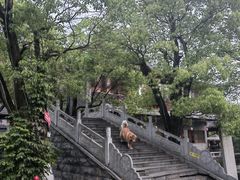 -龙潭水乡