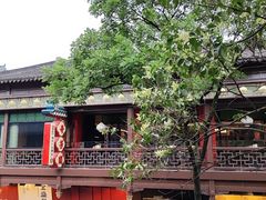-奇芳阁·百年清真南京菜(夫子庙店)