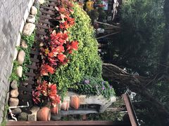 -胡里山炮台
