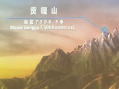 -四川大学博物馆