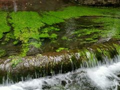 -水磨沟公园