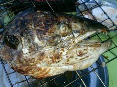 -小象钓虾·营地烧烤(洛溪店)