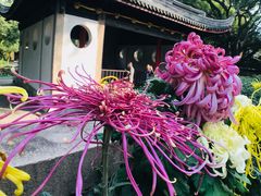 -无锡惠山寺