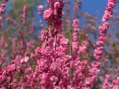 -龙洞风景区-藏龙涧