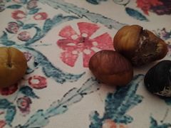 -栗满秋(燕丰西坝河店)