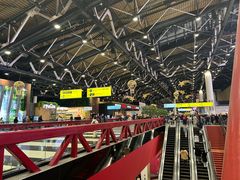 -谢列梅捷沃国际机场