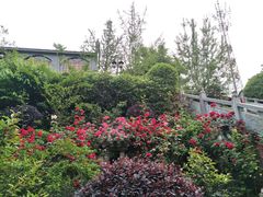 -楠柏弯休闲山庄(梨花溪店)