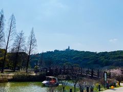 -苏州上方山国家森林公园
