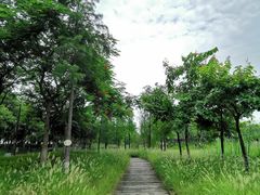 -映月湖公园