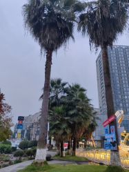 -金芙美月子中心(财富别墅店)