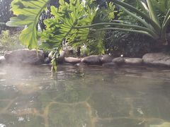 -融汇温泉