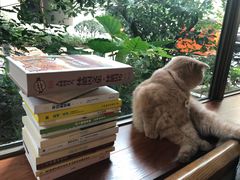 -咖法森林·咖啡  酒吧(天河店)