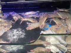 -星伦多自助料理(宝山龙湖天街店)