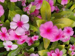 -塞上张记桂林米粉(金凤万达店)