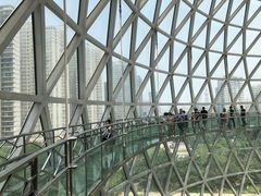 -陕西自然博物馆